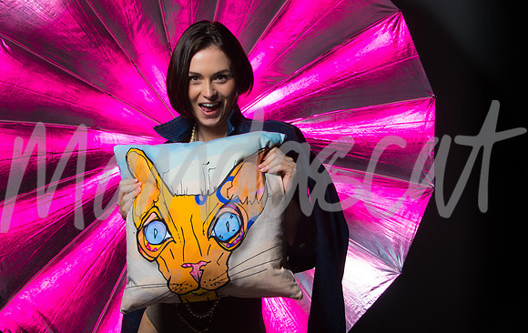 Cat Cushions £45 plus p&p