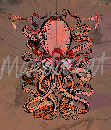 harry the octopus ...
