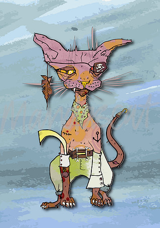 Captain Cutlass Pirate Cat