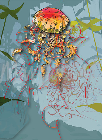 Jelly Fish 1