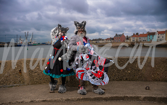 Pirate Cats of Pilot Pier