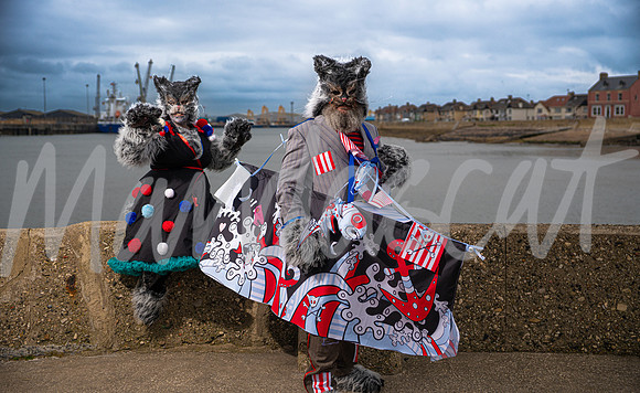 Pirate Cats of Pilot Pier