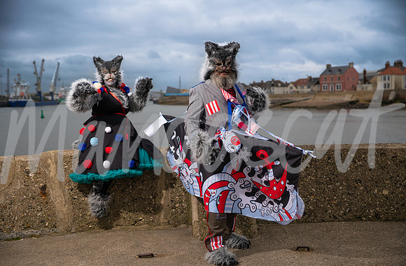 Pirate Cats of Pilot Pier